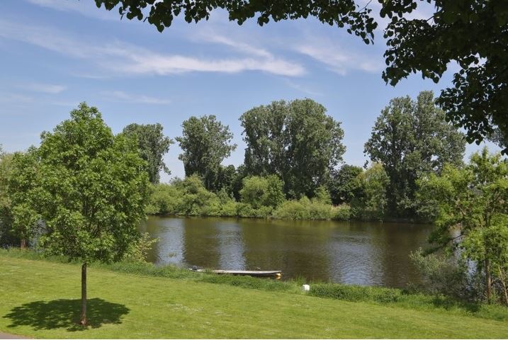 Seligenstädter Mainwiese unter´m Palatium